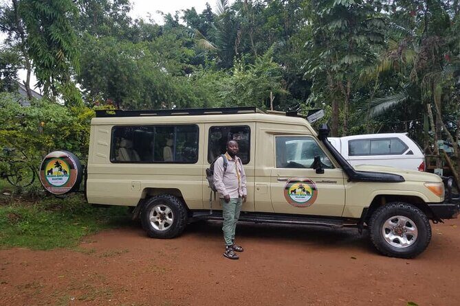 Gorilla & Chimpanzee Trekking in Uganda - 5 Days - The Sum Up