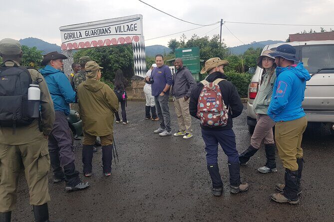 Gorilla Trekking Adventure - A Day trip (Only transfer) - FAQs