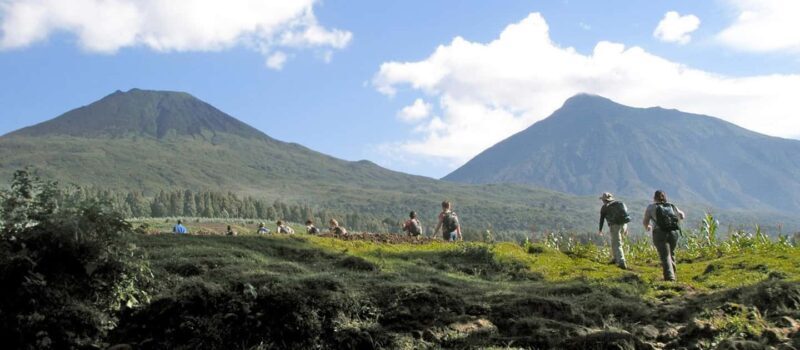 Gorilla Trekking Day Tour with Lunch - Additional Information & Booking Tips
