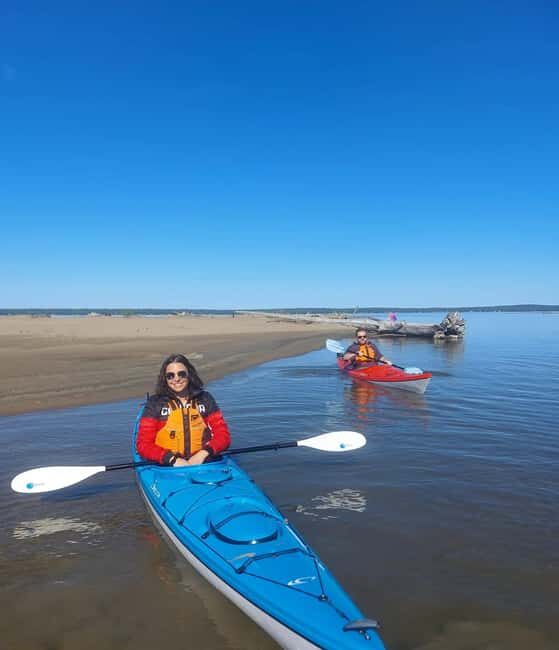 Goulais River: Maple Island Traders Guided Kayak Tour - Key Points