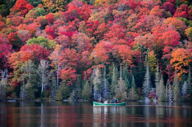 Goulais River: Winding Waters Bay & River Tour - Key Points