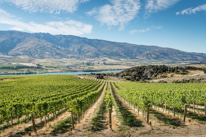 Gourmet Food and Wine Tour Queenstown All-Inclusive Tour - An Honest Look at the Queenstown Gourmet Food and Wine Tour