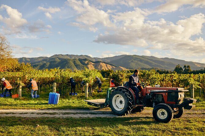 Gourmet Gold Wine Tour: Indulge in Cloudy Bay's finest wines - Final Thoughts