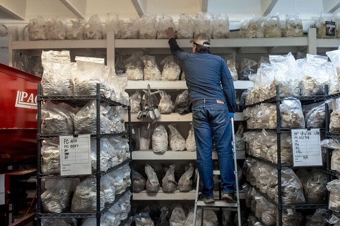 Gourmet Mushroom Farm Tour in Tennessee - Exploring the Details of the Mushroom Farm Tour