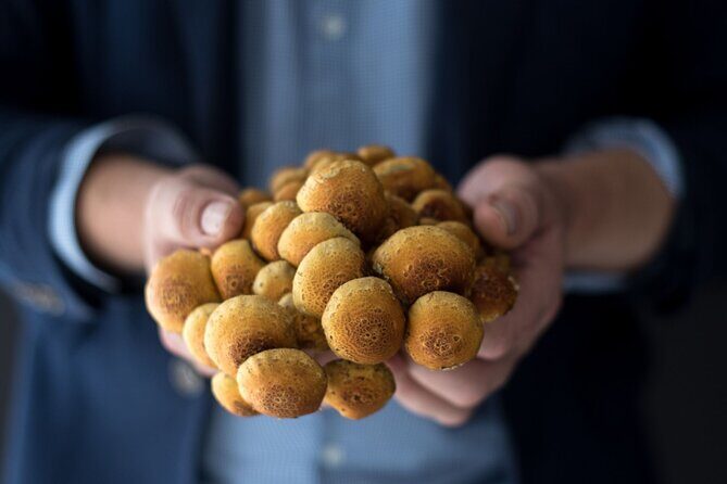 Gourmet Mushroom Farm Tour in Tennessee - FAQs About the Tennessee Mushroom Farm Tour