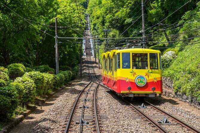 Gourmet Tour in Mountain Takao, Tokyo - An In-Depth Look at the Tour