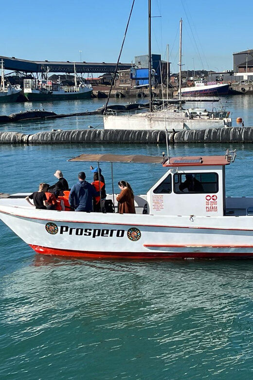 Gqeberha: HARBOUR CRUISE - Key Points