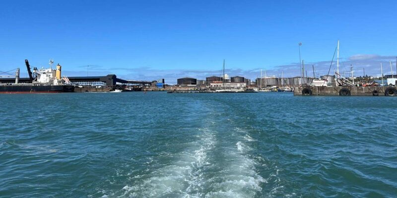 Gqeberha: HARBOUR CRUISE - What to Expect During the Harbour Cruise