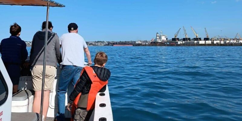 Gqeberha: HARBOUR CRUISE - Analyzing the Value