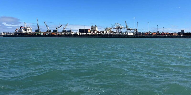 Gqeberha: HARBOUR CRUISE - Who Should Consider This Tour?