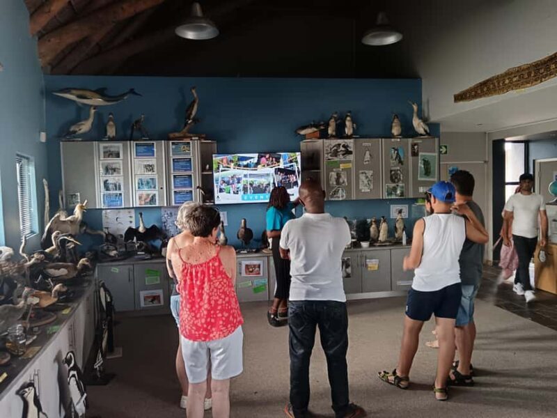 Gqeberha:Addo Elephant National Park and Coastal Tour Combo - Exploring the Coastal Beauty of Marine Drive and Cape Receife