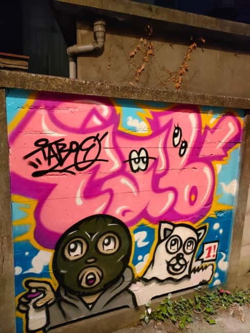 Graffiti in Tokyo Walking Tour: Shibuya and Harajuku - Practical Details and Tips