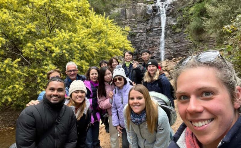 Grampians National Park Small-Group Eco Day Tour - The Transport and Guides: Comfort and Knowledge