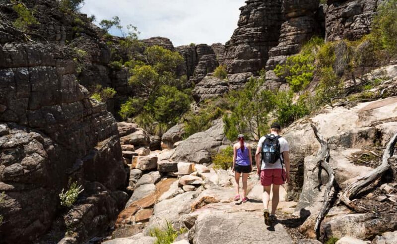 Grampians National Park Small-Group Eco Day Tour - The Sum Up
