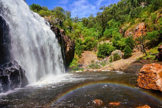 Grampians National Park Small-Group Eco Tour from Melbourne - A Deep Dive into the Experience