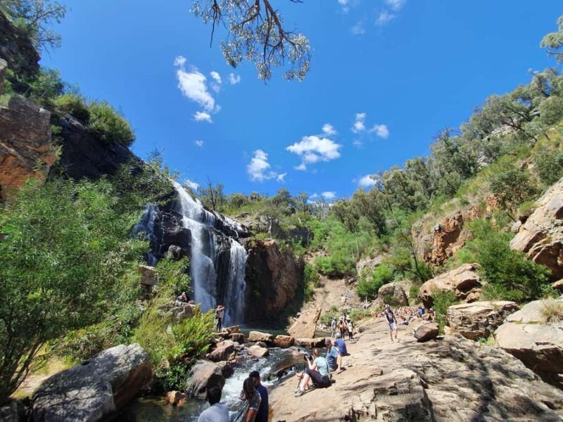 Grampians Small-Group Hiking & Wildlife Eco Experience - Who Will Love This Tour
