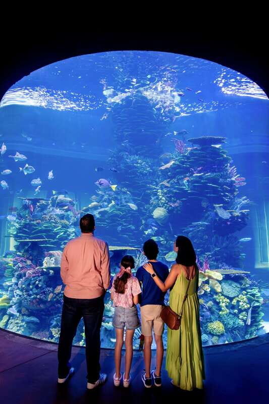 Gran Acuario Mazatlan - Exploring the Aquarium’s Layout and Highlights