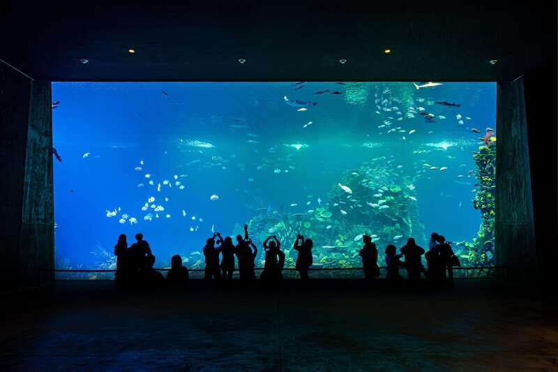 Gran Acuario Mazatlan - What’s Included and What’s Not