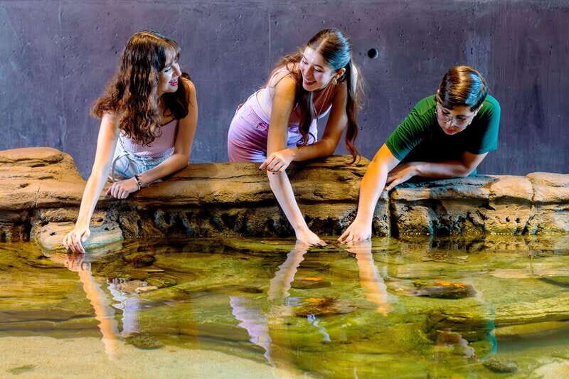 Gran Acuario Mazatlan - The Experience as Reported by Visitors