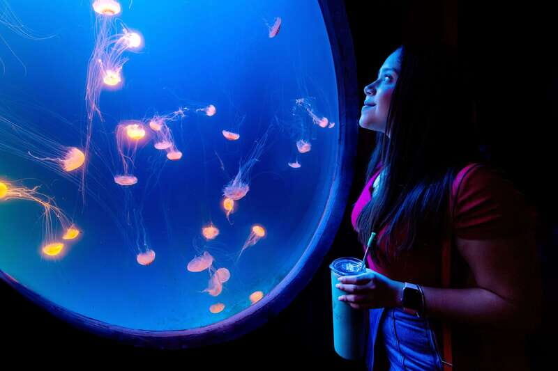 Gran Acuario Mazatlan - The Architecture and Atmosphere