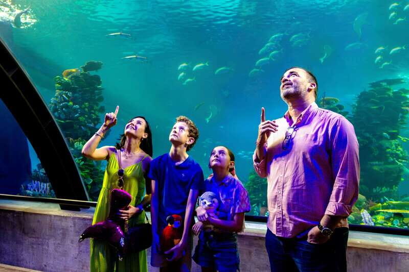 Gran Acuario Mazatlan - Who Will Appreciate This Tour?