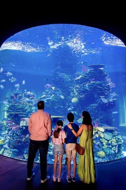 Gran Acuario Mazatlan - Final Thoughts: Is It Worth Visiting?