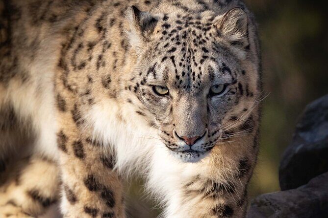Granby Zoo 1 Day - The Experience: What to Expect on Your Day at Granby Zoo