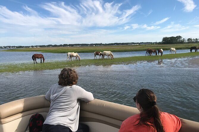 Grand Boat Tour around Chincoteague and Assateague Islands - Exploring the Grand Boat Tour around Chincoteague and Assateague Islands