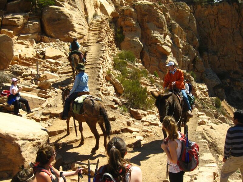 Grand Canyon Full-Day Hike from Sedona or Flagstaff - An In-Depth Look at the Grand Canyon Full-Day Hike Experience