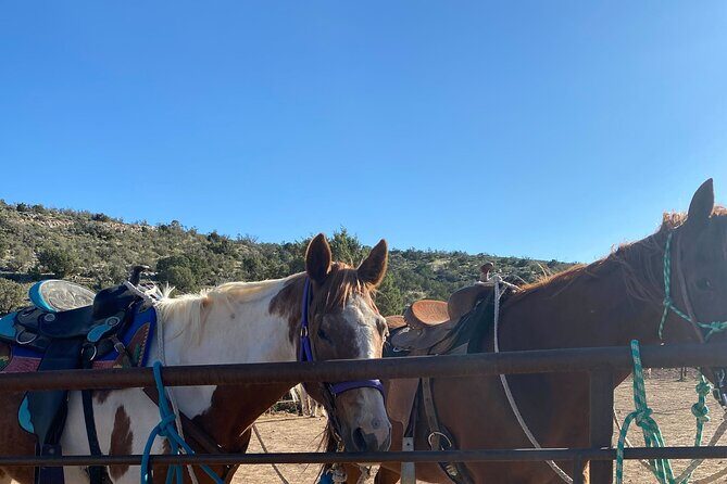 Grand Canyon Horseback Tour - Key Points