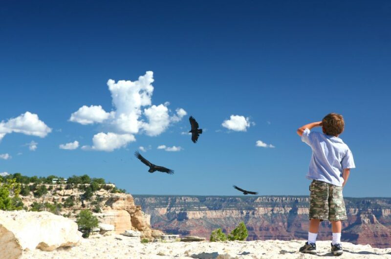 Grand Canyon: Morning Off-Road Safari with Skip the Gate - The Value of the Experience