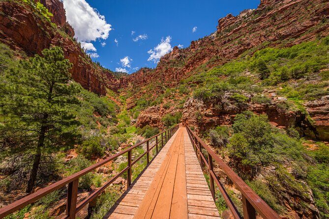 Grand Canyon North Rim Full-Day Self-Guided Tour - Who Should Consider This Tour?
