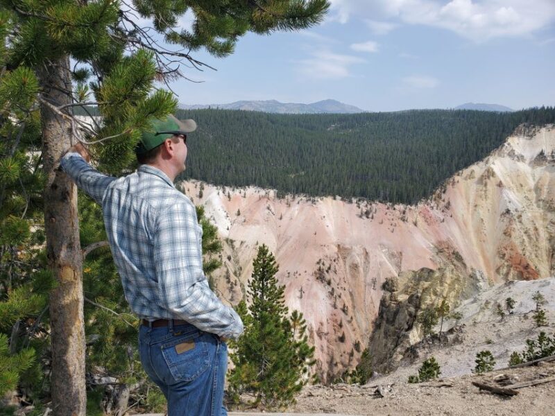 Grand Canyon of the Yellowstone: Loop Hike with Lunch - The Sum Up