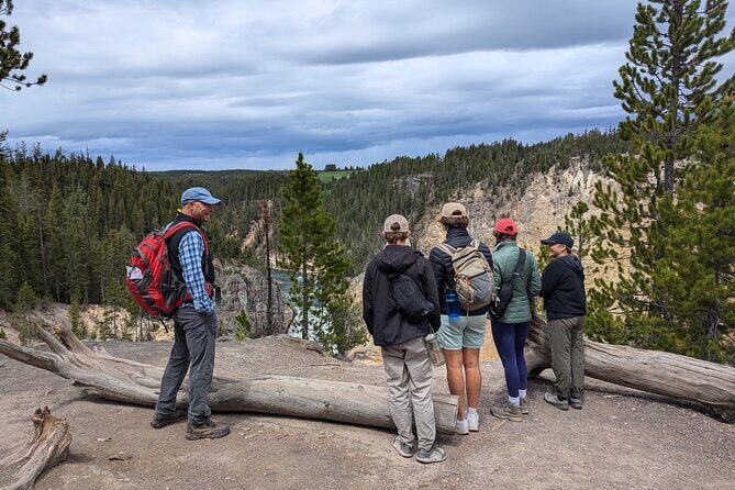 Grand Canyon of Yellowstone Hiking Adventure Full Day with Lunch - Authentic Experiences and What Travelers Say