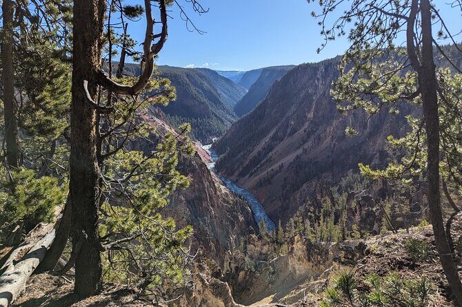 Grand Canyon of Yellowstone Hiking Adventure Full Day with Lunch - The Sum Up