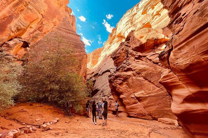 Grand Canyon South Rim, Antelope Canyon and Horseshoe Bend Tour - The Sum Up