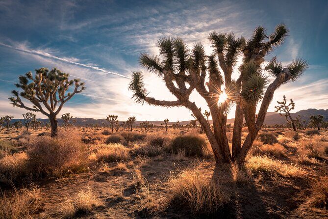 Grand Canyon West, Hoover Dam and Seven Magic Mountains & LV Sign - The Sum Up
