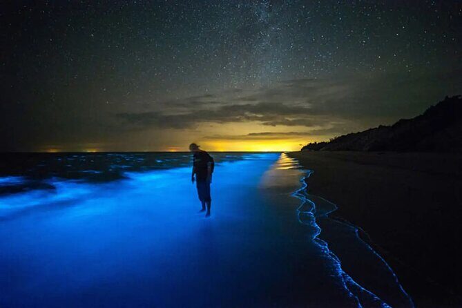 Grand Cayman Bioluminescence Adventure - Introduction