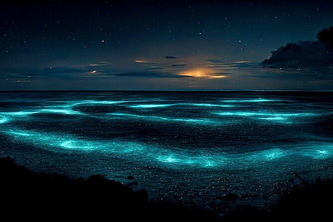 Grand Cayman Bioluminescence Adventure - Who Will Love This Tour?