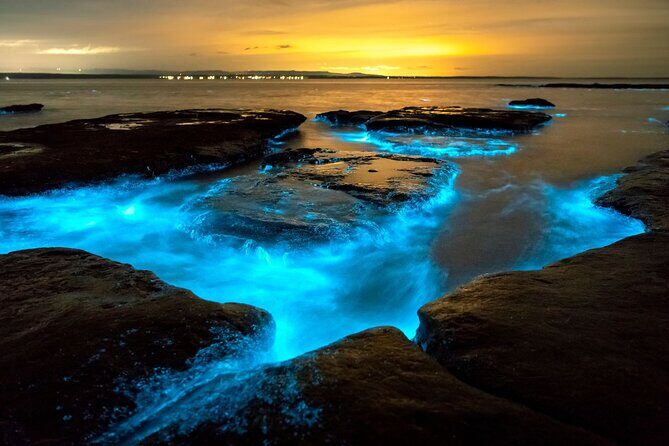 Grand Cayman Bioluminescence Adventure - Frequently Asked Questions