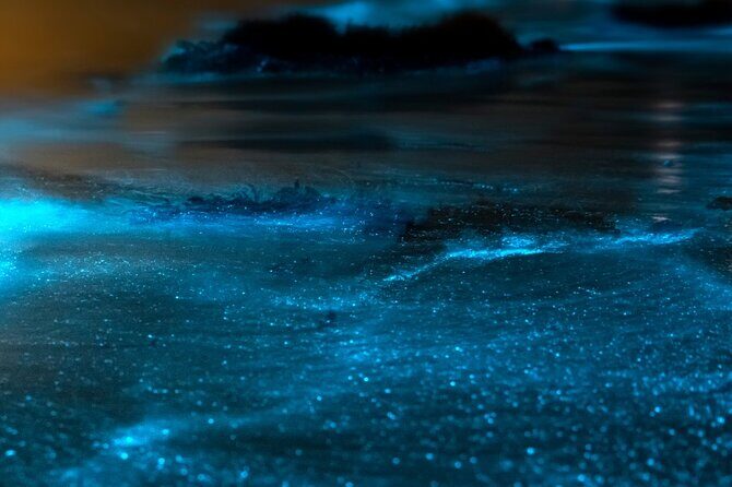 Grand Cayman Bioluminescent Bay Adventure - Final Thoughts: Who Will Love This Tour?