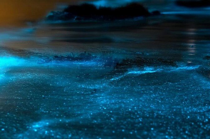 Grand Cayman Bioluminescent Bay Adventure - FAQs