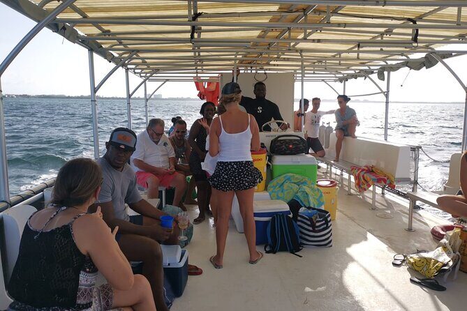Grand Cayman - Bioluminescent Bay Tour - Introduction: An Authentic Glimpse of Grand Caymans Natural Wonders