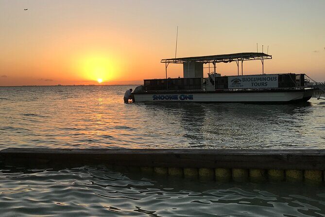 Grand Cayman - Bioluminescent Bay Tour - Practical Tips for a Great Experience