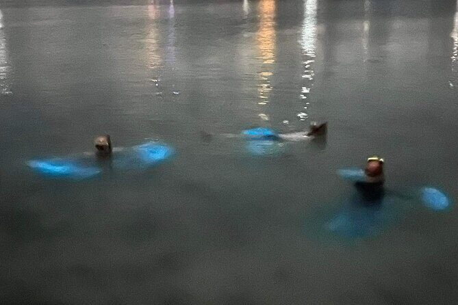 Grand Cayman - Bioluminescent Bay Tour - Who Will Love This Tour?