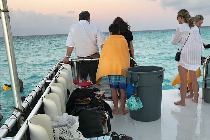 Grand Cayman - Bioluminescent Bay Tour - The Sum Up: An Unmissable Natural Wonder