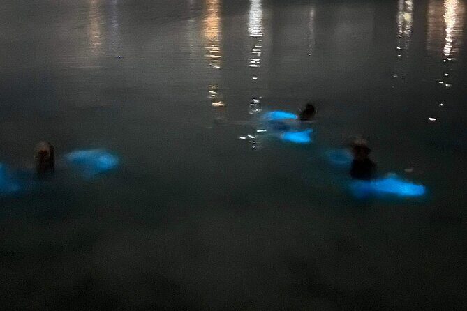 Grand Cayman - Bioluminescent Bay Tour - FAQ