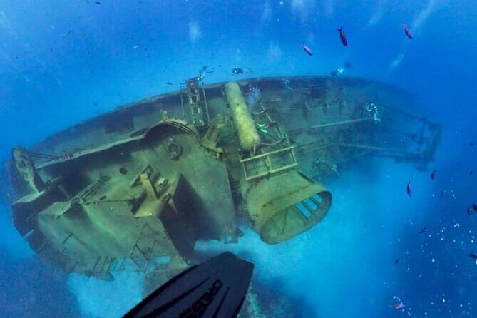 Grand Cayman Kittiwake and Reef Sail - Who Would Enjoy This Tour Most?