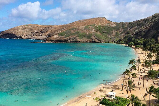 Grand Circle Island and Haleiwa 9 Hour Tour - The Highlights and the Drawbacks