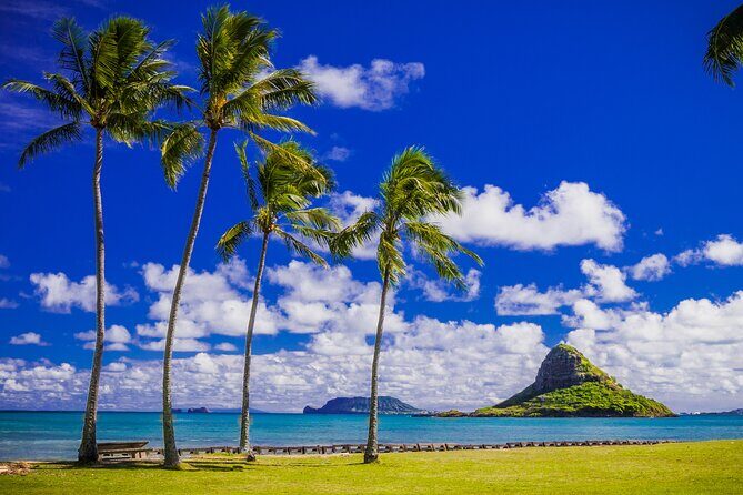 Grand Circle Island and Haleiwa 9 Hour Tour - The Sum Up